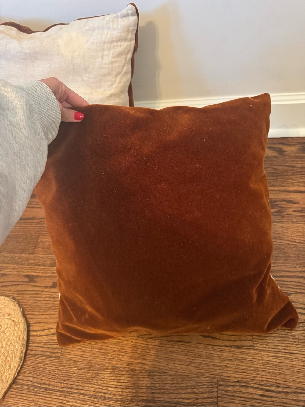 Pottery Barn Velvet Accent Pillow in Rust